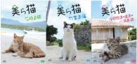 美ら猫　３部作バリューセット