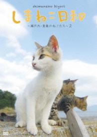 テレビ愛媛４５周年記念しまねこ日和　～瀬戸内・青島のねこたち～　２