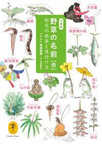 野草の名前 春