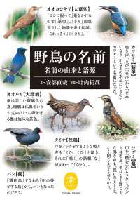野鳥の名前 名前の由来と語源
