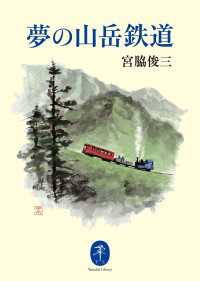 夢の山岳鉄道